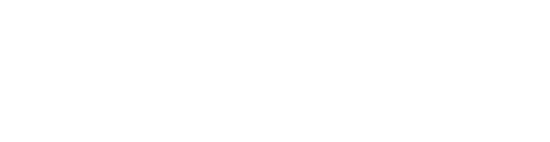 SeoulGlow™